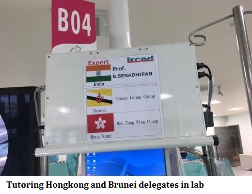 tutoring-hongkong-and-brunei-delegates-in-lab